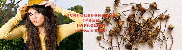 гашишное масло Абинск
