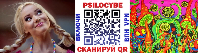 kraken маркетплейс  Сальск  Псилоцибиновые грибы Magic Shrooms  дарнет шоп 